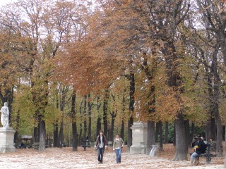 DSC09021.JPG (105205 bytes)