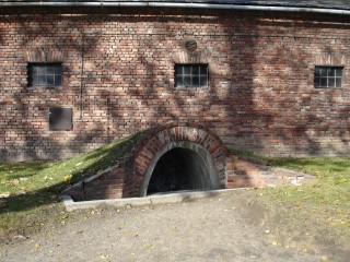 DSC09336.JPG (89880 bytes)