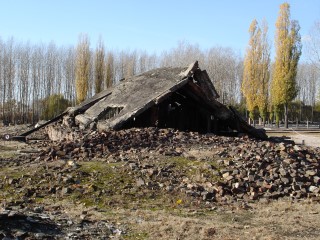 DSC09369.JPG (94029 bytes)