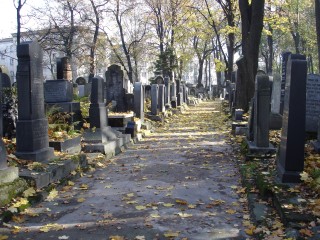 DSC09531.JPG (94945 bytes)