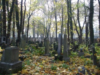 DSC09535.JPG (105947 bytes)