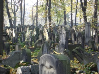 DSC09541.JPG (87667 bytes)