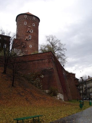 DSC09189.JPG (29086 bytes)