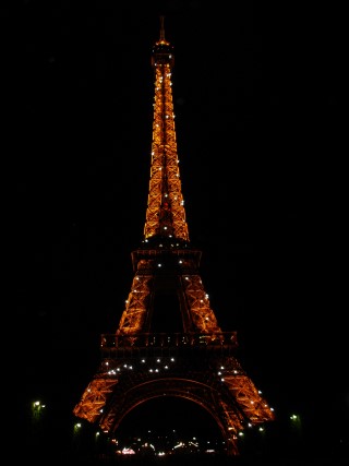 DSC06562.JPG (14571 bytes)