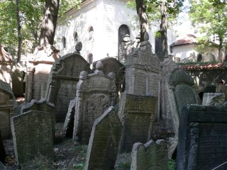 P1170254.JPG (118966 bytes)