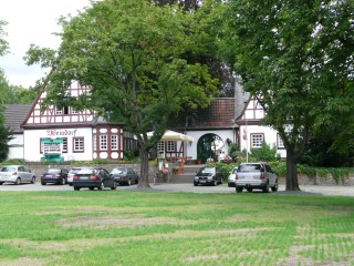 P1050007.JPG (126656 bytes)