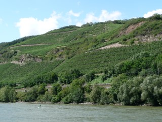 P1050086.JPG (105018 bytes)