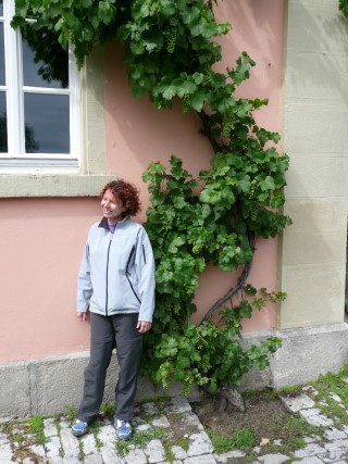 P1080048.JPG (51444 bytes)
