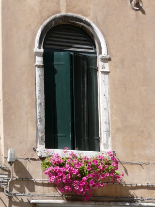 P1120336.JPG (43884 bytes)