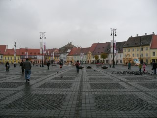 P1250025.JPG (74170 bytes)