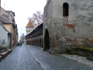 P1250059.JPG (92264 bytes)