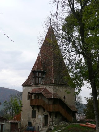 P1220003.JPG (51488 bytes)