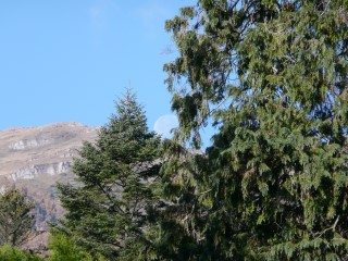 P1190063.JPG (127671 bytes)
