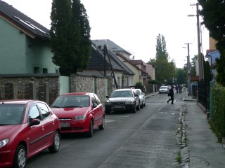 P1530009.JPG (77909 bytes)
