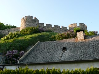 P1540035.JPG (91259 bytes)
