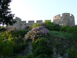 P1540040.JPG (92911 bytes)