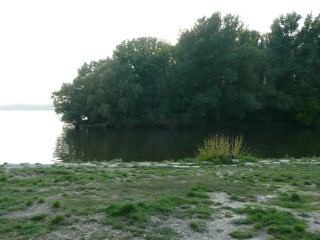 P1540016.JPG (76359 bytes)