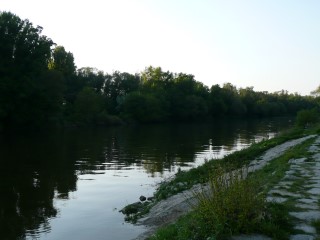 P1540017.JPG (56961 bytes)