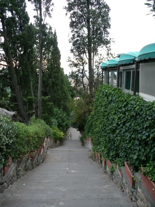P1950098.JPG (62638 bytes)